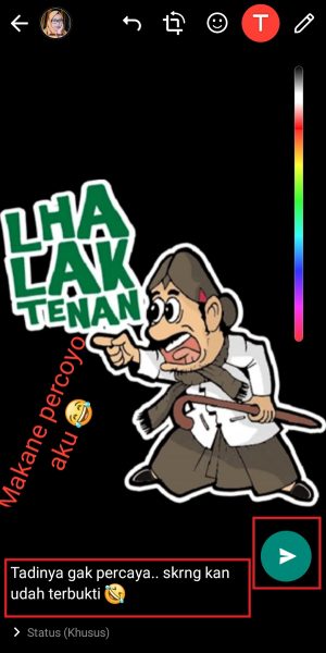 Cara membuat Status WhatsApp dengan Stiker (panduan pemula) 15 Tambahkan caption sebelum diunggah ke status Whatsapp