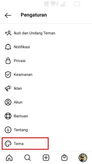 Cara mengaktifkan dan menonaktifkan Dark Mode Instagram 3 pilih Tema