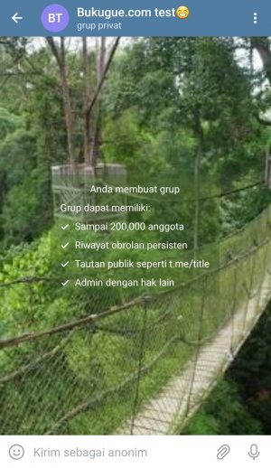 Cara Mengganti Wallpaper di Telegram 20 contoh hasilnya