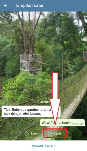 Cara Mengganti Wallpaper di Telegram 18 klik gerak