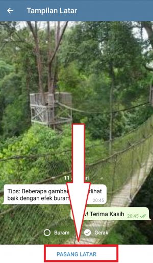 Cara Mengganti Wallpaper di Telegram 19 klik pasang latar
