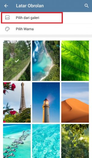 Cara Mengganti Wallpaper di Telegram 16 klik pilih dari galeri