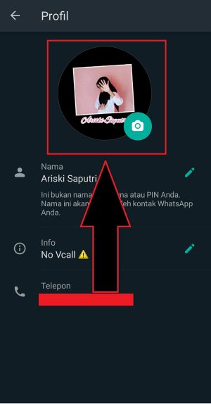 Apa arti dari istilah DP di Facebook atau WhatsApp? 1 DP Whatsapp