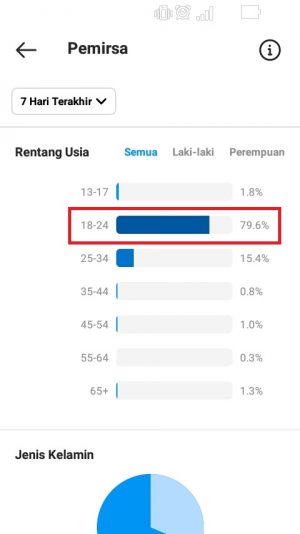Cara melihat dan membaca Insight Instagram 17 rentang usia