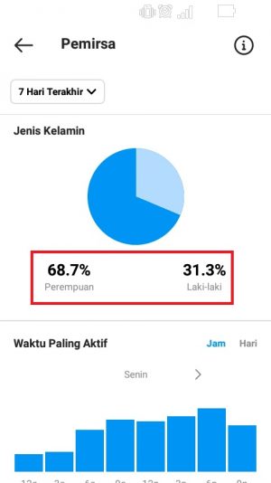 Cara melihat dan membaca Insight Instagram 18 jenis kelamin