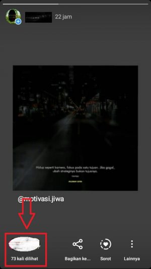 Cara melihat dan membaca Insight Instagram 25 pilih viewers