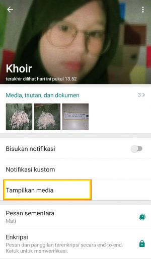 Cara agar media WhatsApp tidak tersimpan di galeri 8 klik tampilkan media