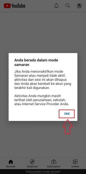 Cara Mengaktifkan dan Menonaktifkan Mode Samaran Youtube 3 tekan tombol ok yang ada di bawah