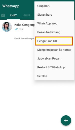 Cara Mengganti Background Layar Utama WhatsApp 8 ketuk Pengaturan GB