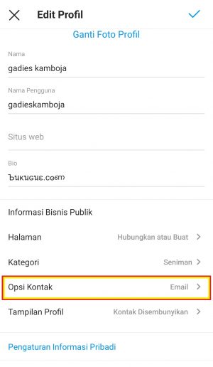 Cara Menambahkan Tombol WhatsApp di Instagram 2 tap ikon Opsi Kontak