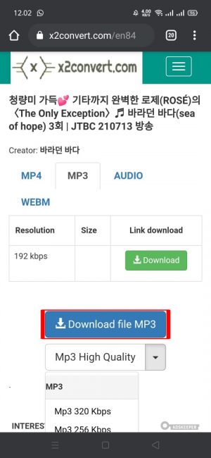 Cara download video dari Youtube menjadi MP3 tanpa aplikasi 10 Pilih dan klik "download file mp3"