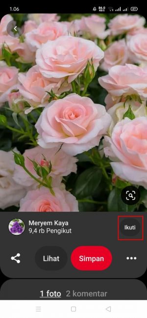 Cara Menggunakan Pinterest Untuk Pemula 23 klik dan pilih "ikuti"