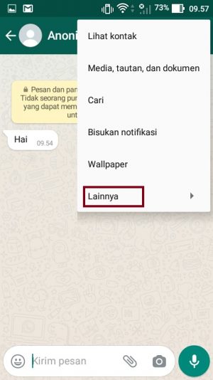 Cara membersihkan chat WhatsApp (bisa satu-satu atau semua sekaligus) 2 tekan menu "lainnya"