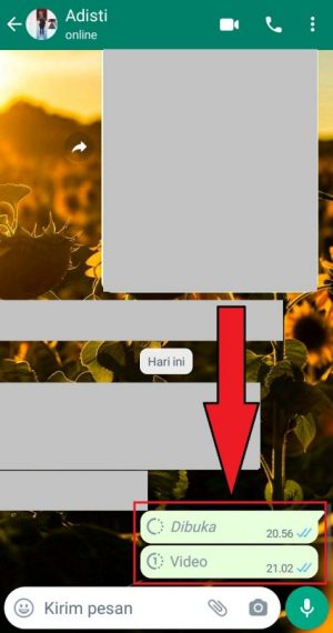 Cara Mengirim Foto atau Video Sekali Lihat di WhatsApp 20 Cara Mengirim Foto atau Video Sekali Lihat di WhatsApp 19