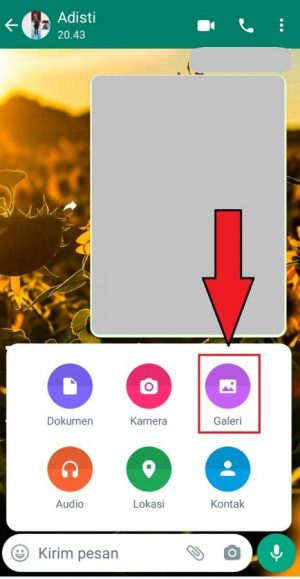 Cara Mengirim Foto atau Video Sekali Lihat di WhatsApp 4 Cara Mengirim Foto atau Video Sekali Lihat di WhatsApp 3