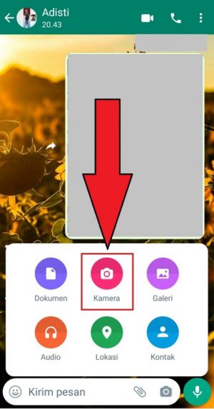 Cara Mengirim Foto atau Video Sekali Lihat di WhatsApp 14 Cara Mengirim Foto atau Video Sekali Lihat di WhatsApp 13